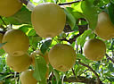 Lipj@N[ @